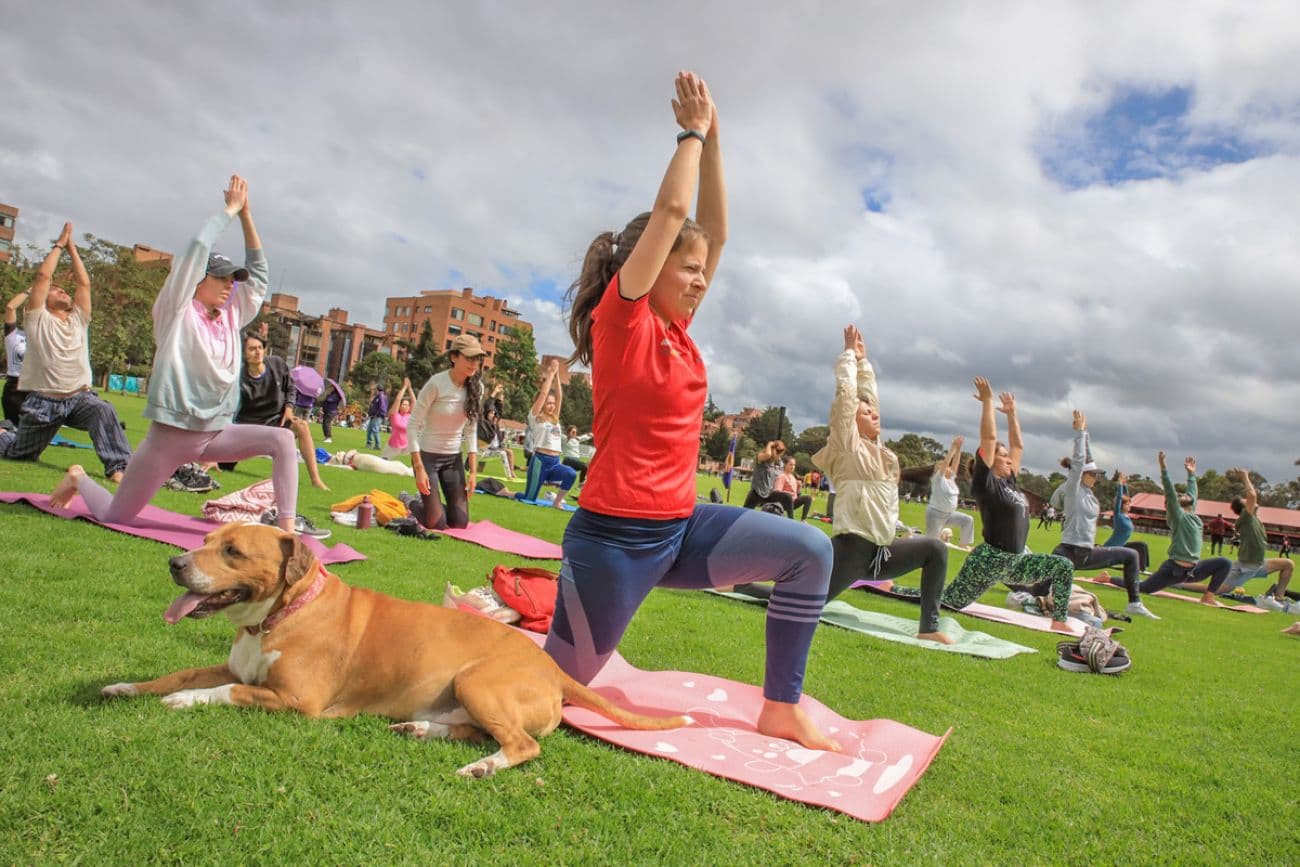 Semana del Bienestar en Bogotá: nueve días para disfrutar del arte, la cultura y más de 100 actividades gratuitas