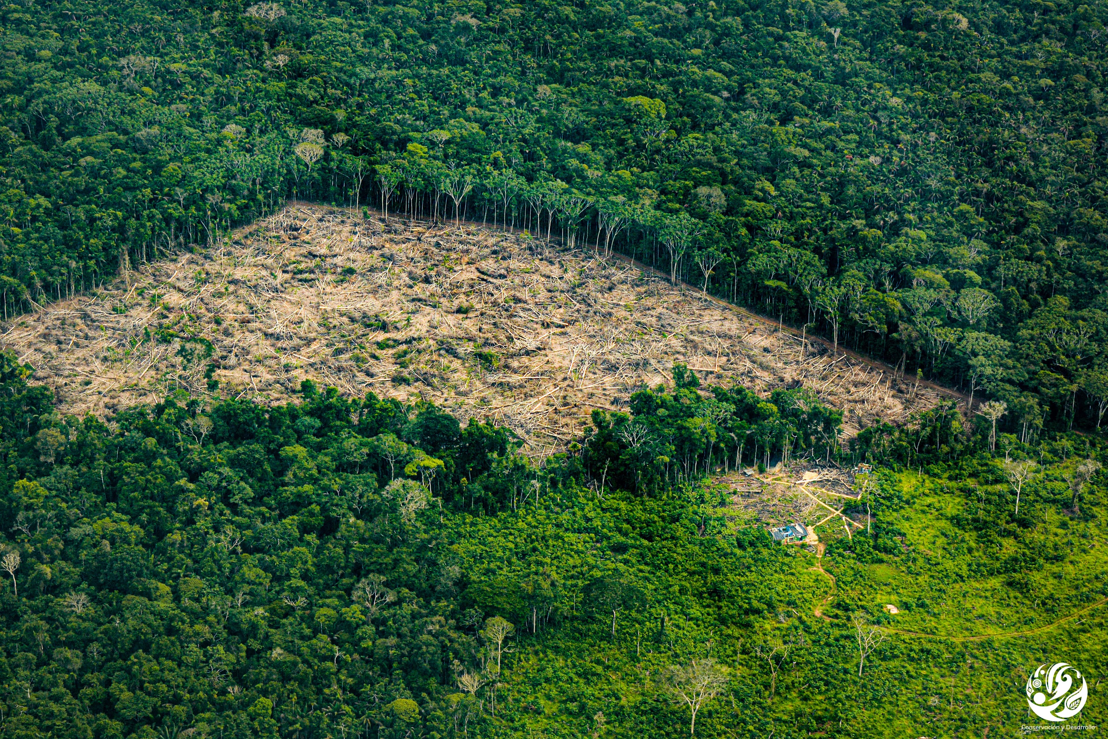 Agenda estratégica para la Amazonía colombiana