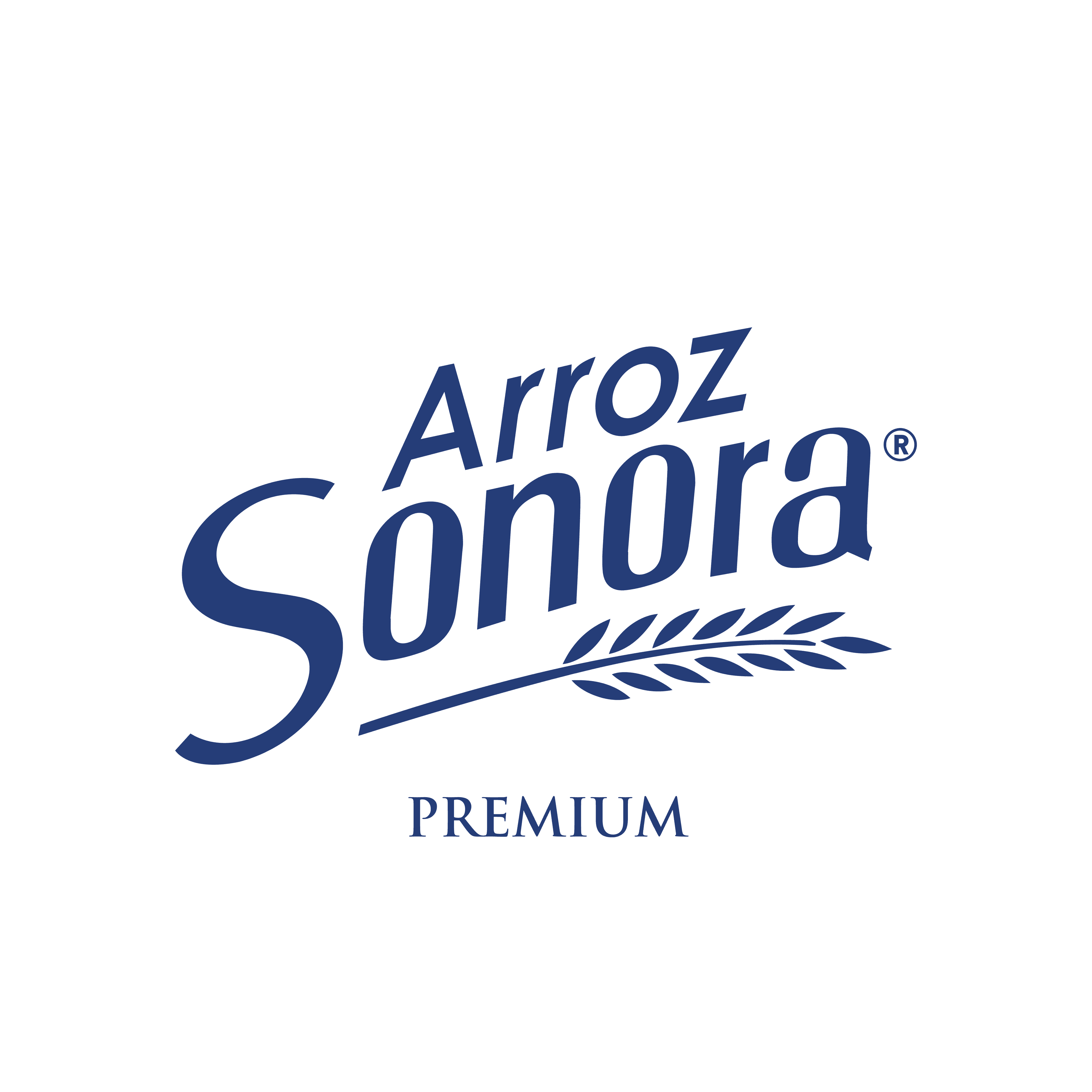 Arroz Sonora 