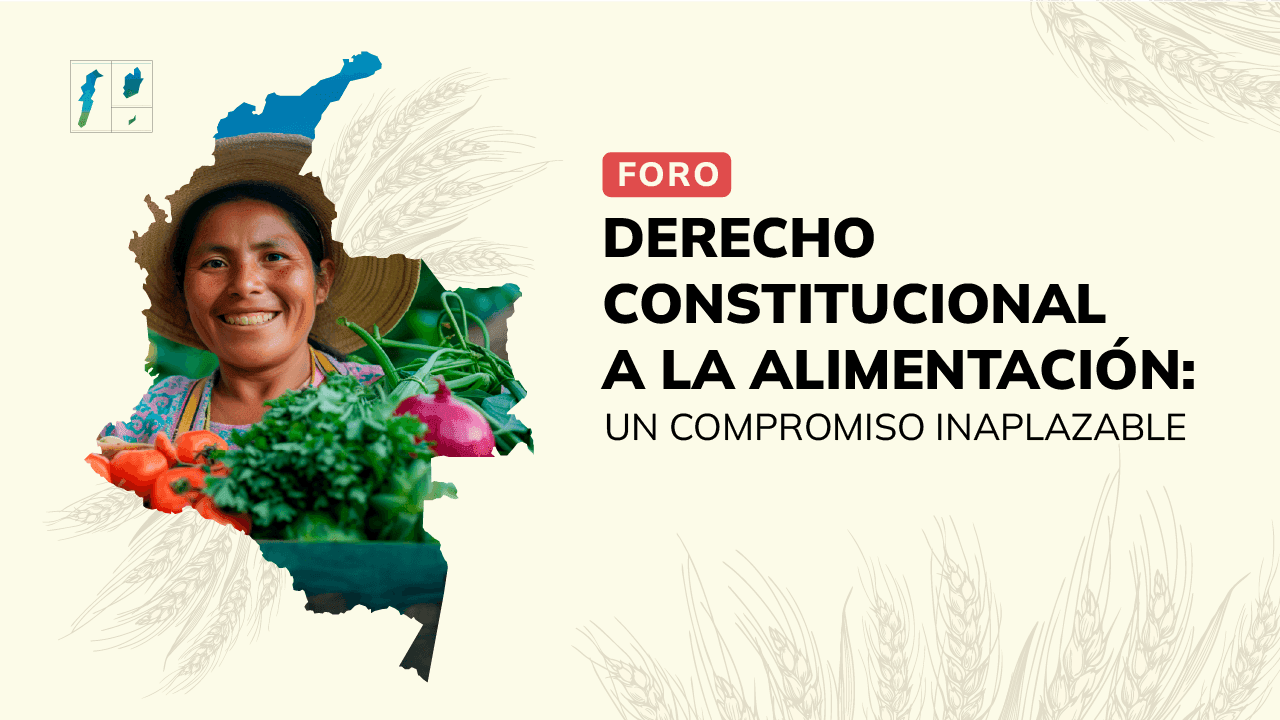 Derecho constitucional a la alimentación: un compromiso inaplazable 2025