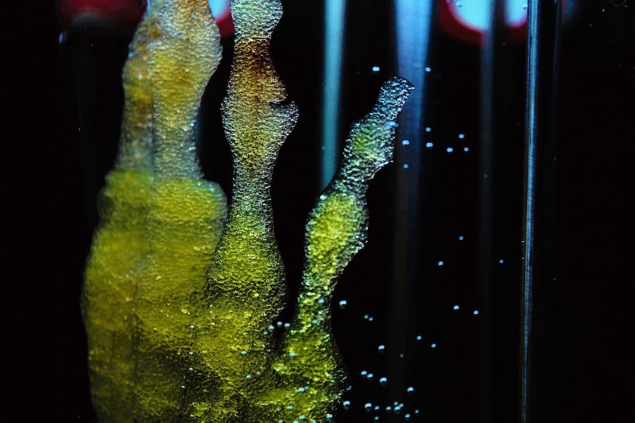 photologuephotos2023-06regenerative-reliquary-2744729_1280jpg