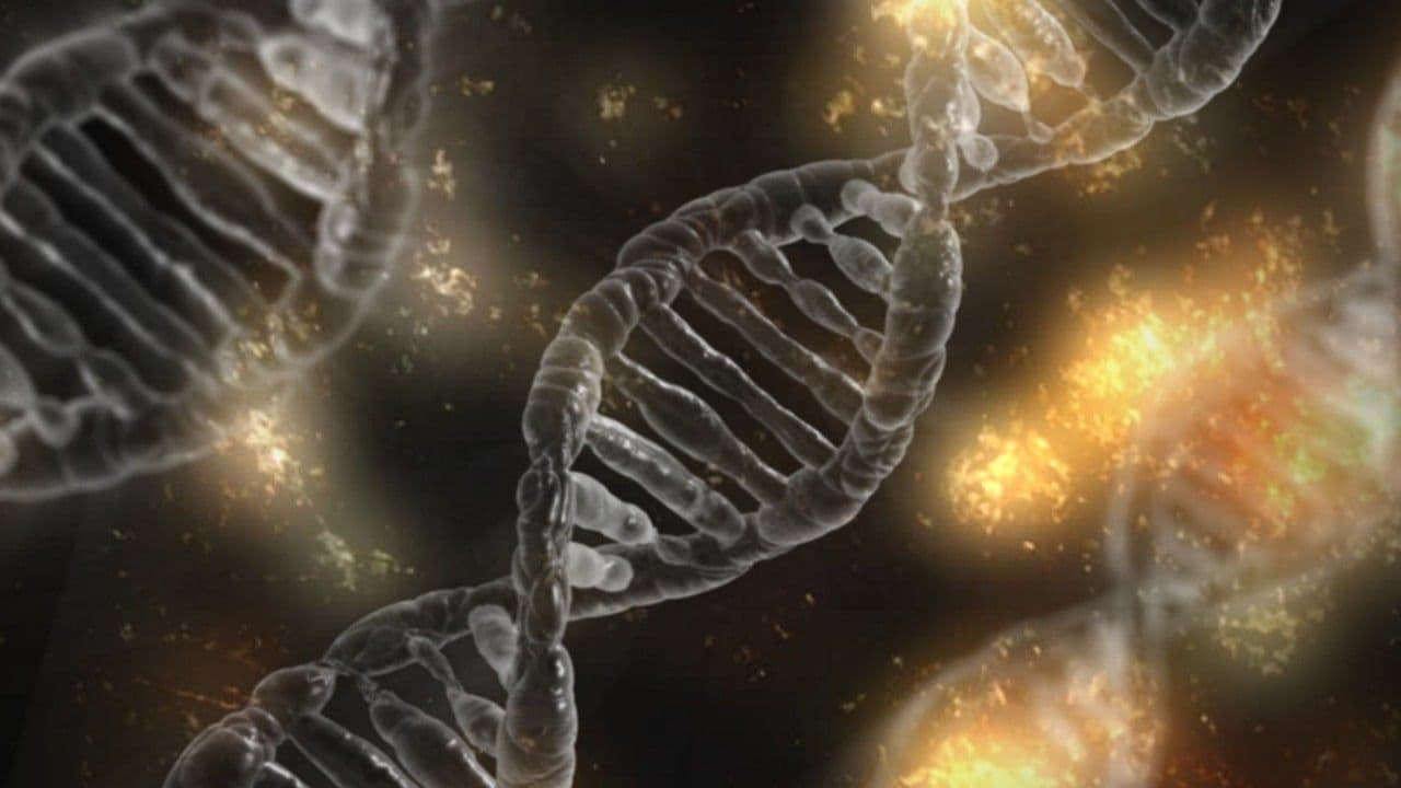 photologuephotos2023-06dna-1903318_1280jpg