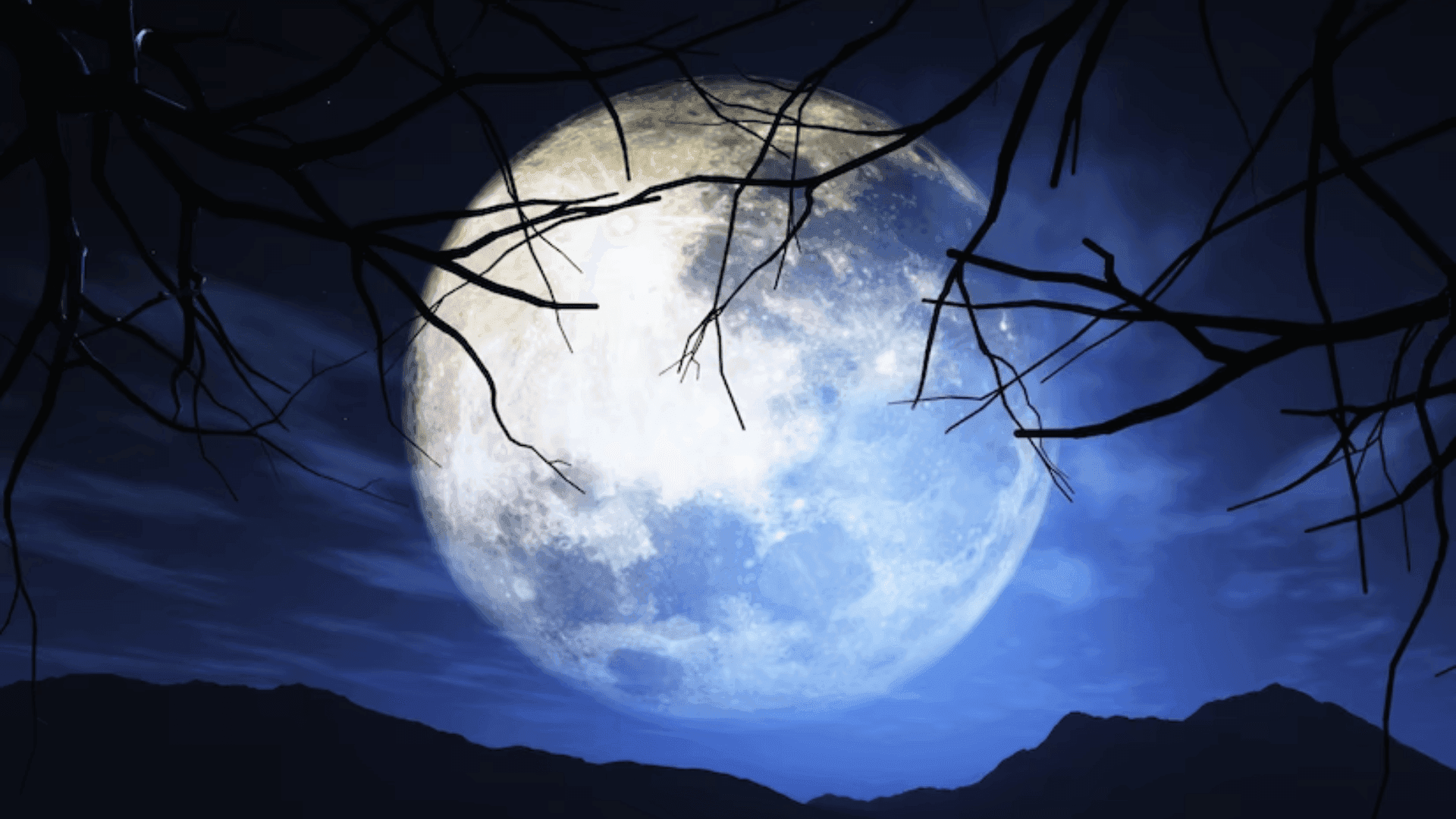 photologuephotos2023-08dw_luna_2png