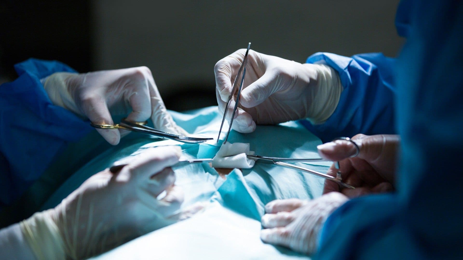photologuephotos2023-06cirujanos-que-realizan-operacion-sala-operacionjpg