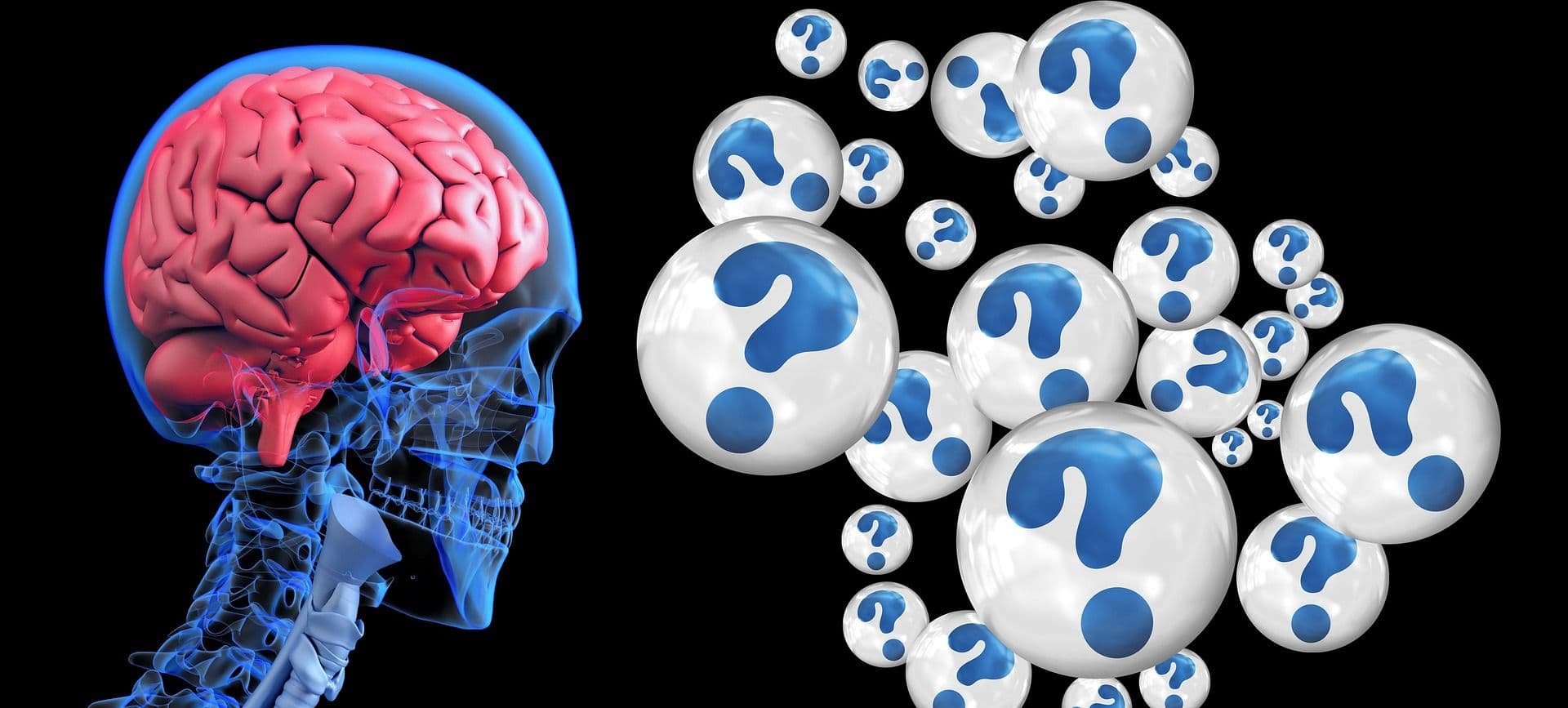 photologuephotos2023-06brain-2546101_1920jpg
