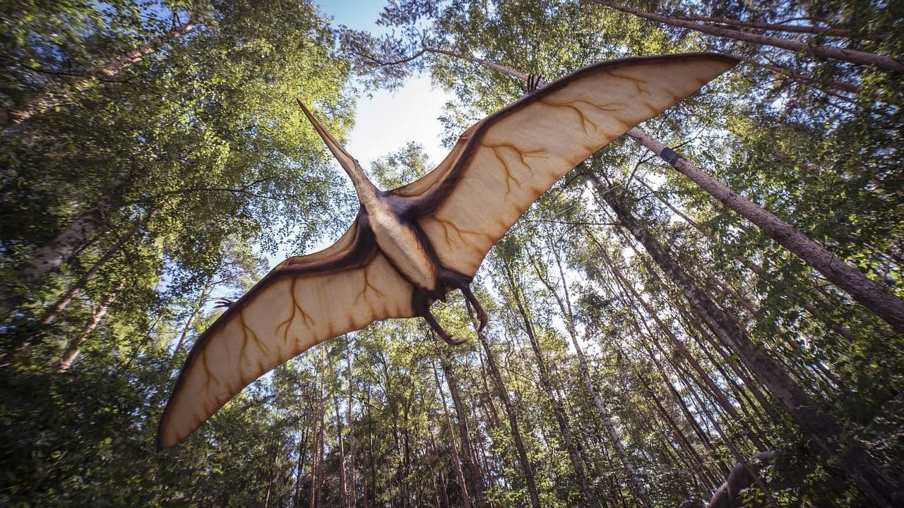 photologuephotos2023-07pterosaur-gaee413eff_1280jpg