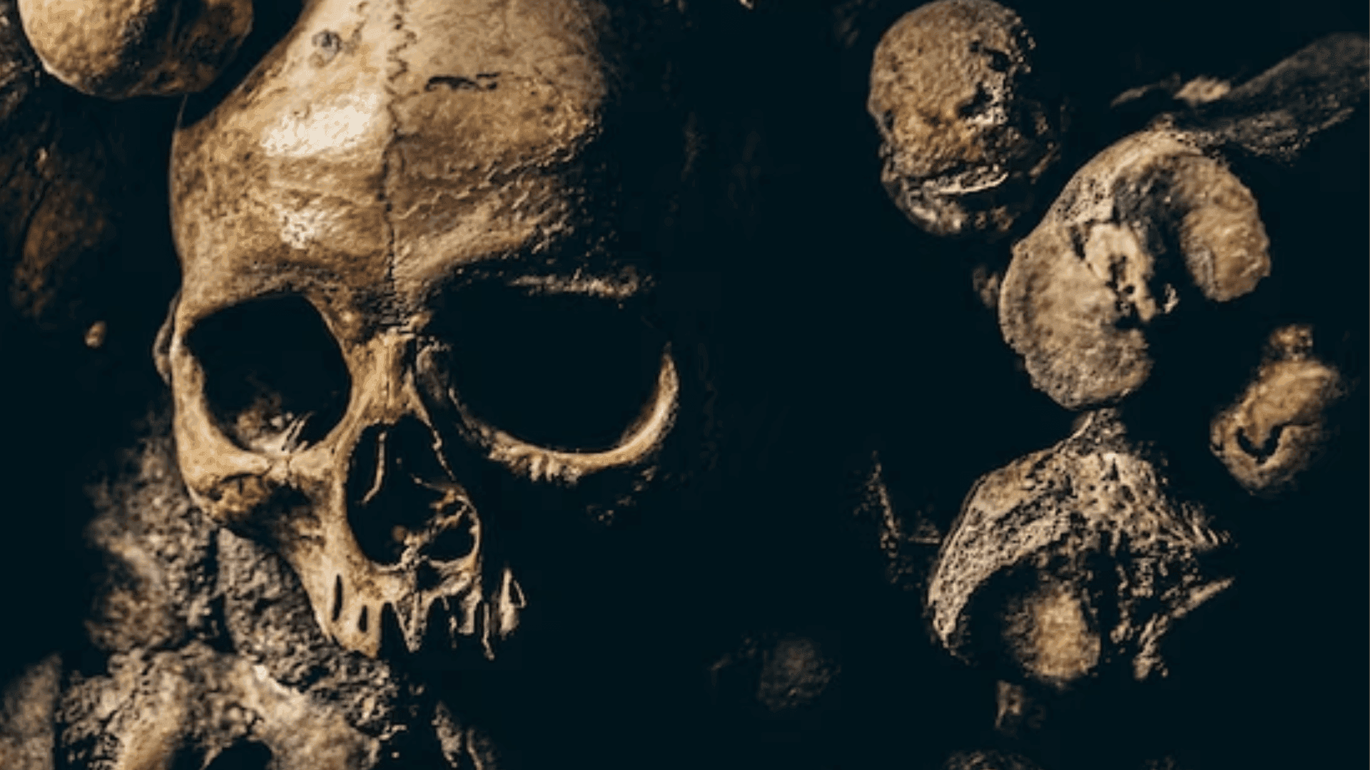 photologuephotos2023-08dw_fosil_1png