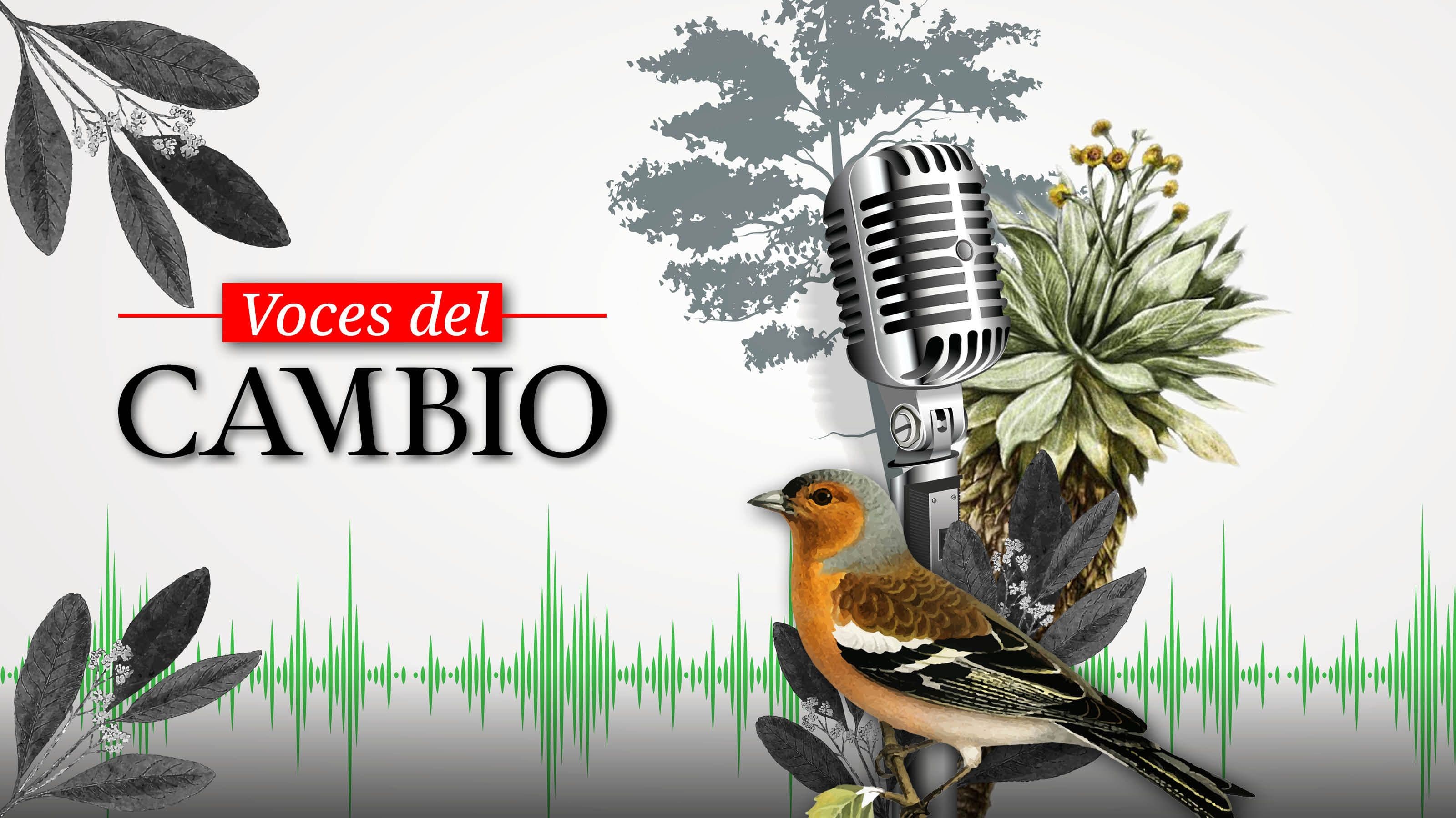 photologuephotos2023-07podcast-cambio-2_1jpg
