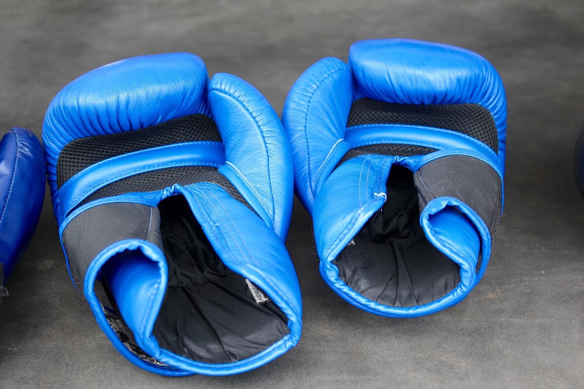 photologuephotos2023-07boxing-g539f55501_1920jpg