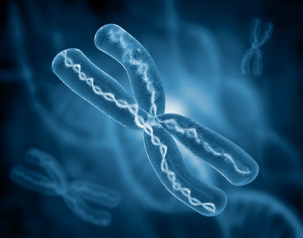 photologuephotos2023-08cromosoma-sobre-antecedentes-cientificos-ilustracion-3djpg