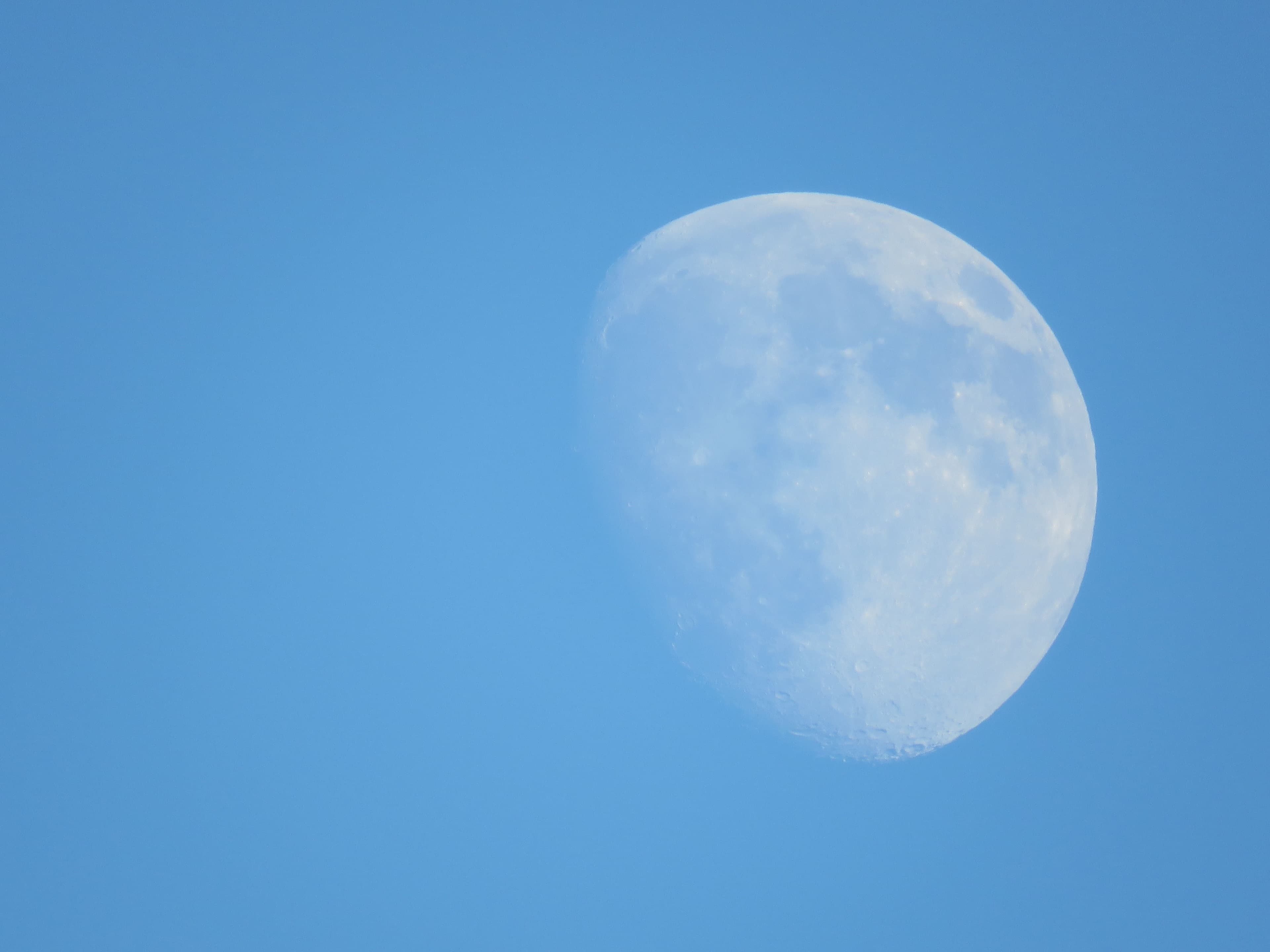 photologuephotos2023-08hermosa-foto-luna-cielo-azul-claro_1jpg photologuephotos2023-08hermosa-foto-luna-cielo-azul-claro_1jpg