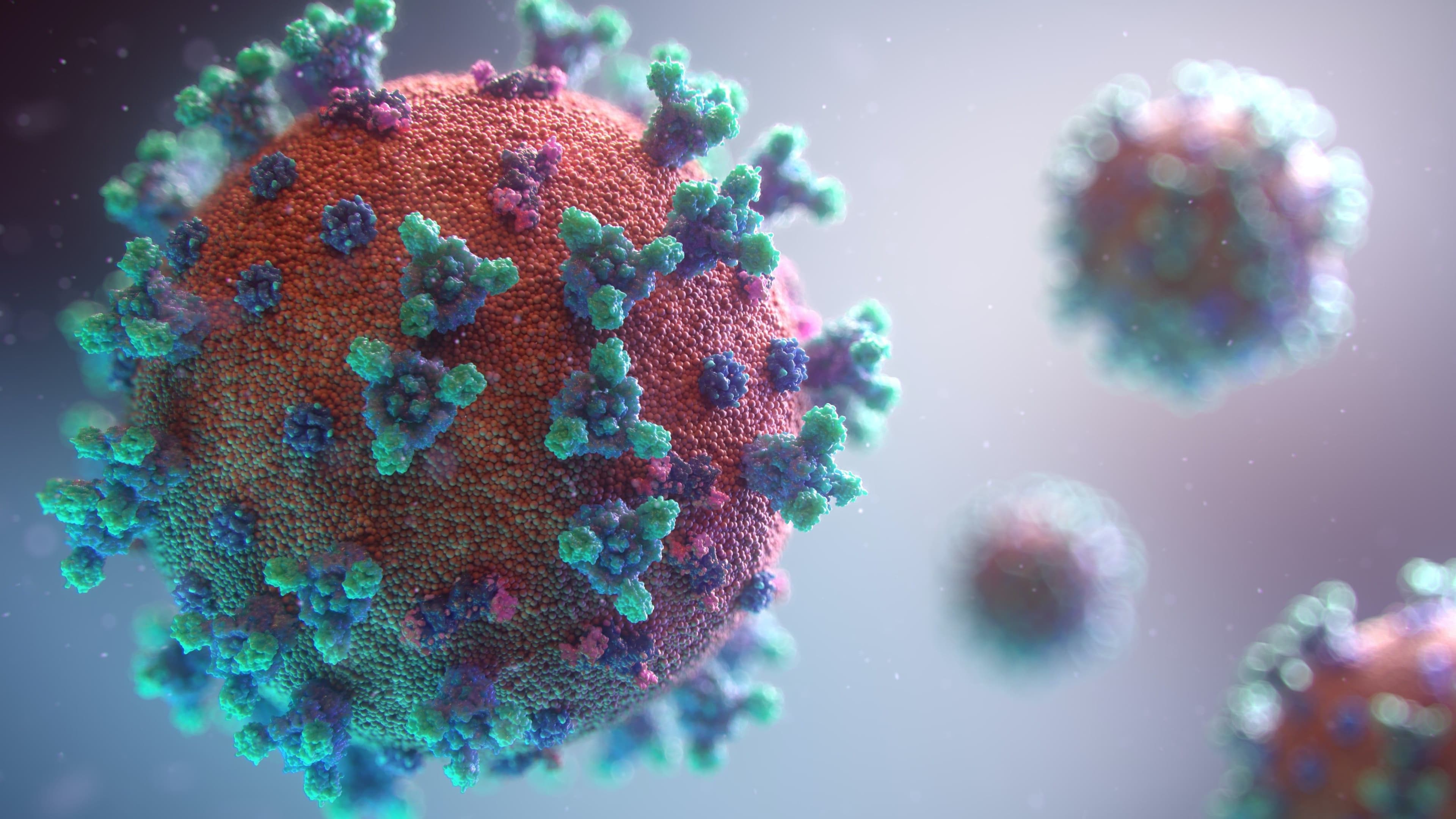 photologuephotos2022-02fusion-medical-animation-rnr8d3fnuny-unsplash_0jpg