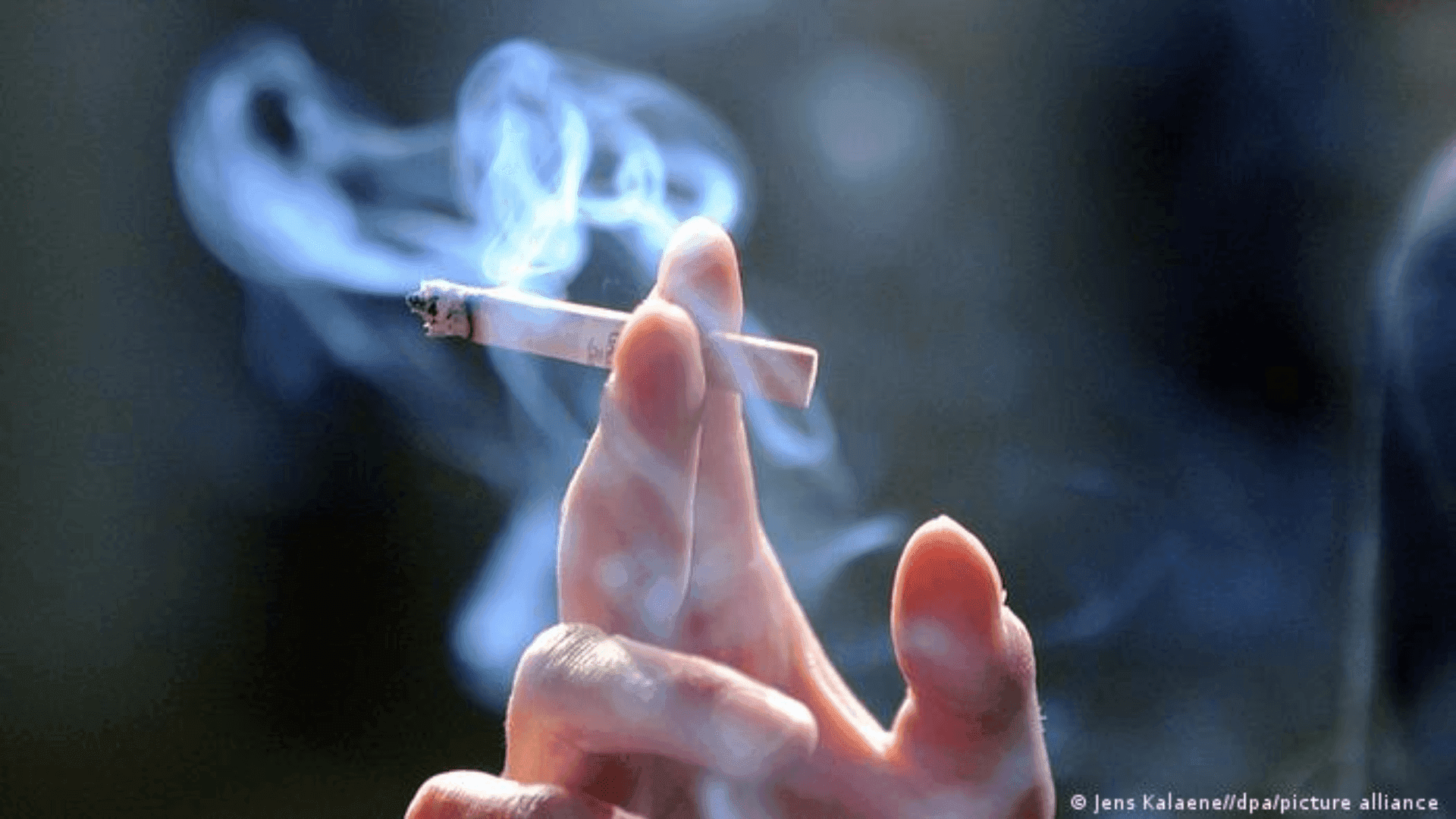 photologuephotos2023-09dw_cigarrillopng