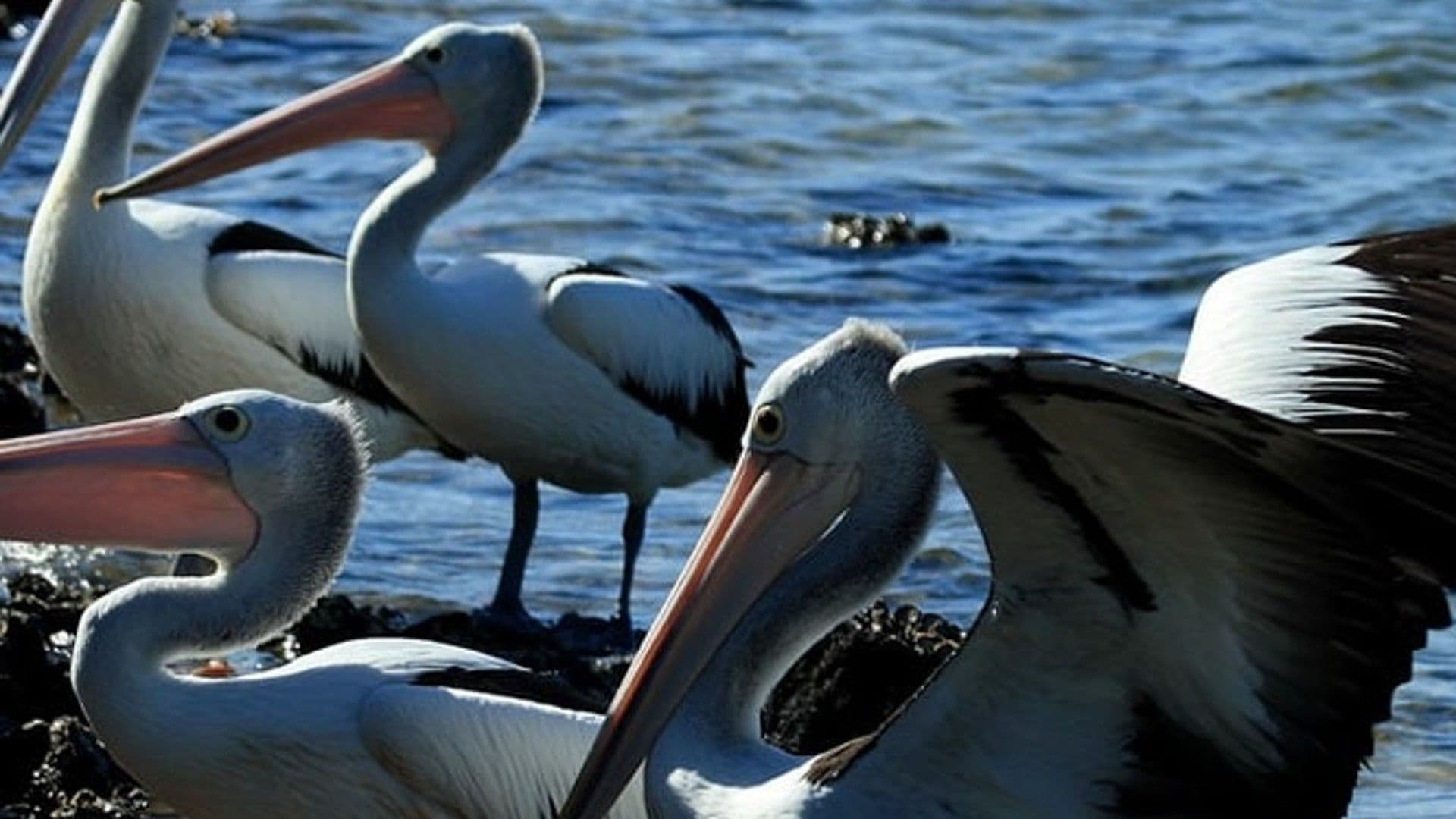 photologuephotos2023-08361089409_271065065619050_4660968078078946183_njpg