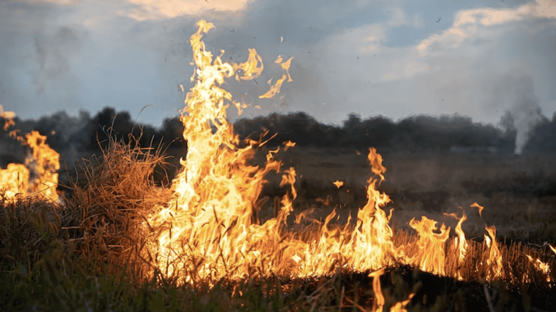 photologuephotos2023-08dw_incendiopng
