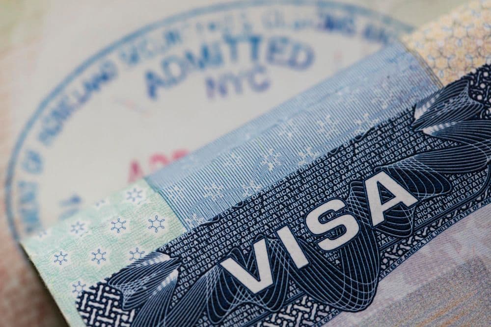 photologuephotos2023-08primer-plano-visa-spam-pasaporte-concepto-inmigracion-emigracionjpg