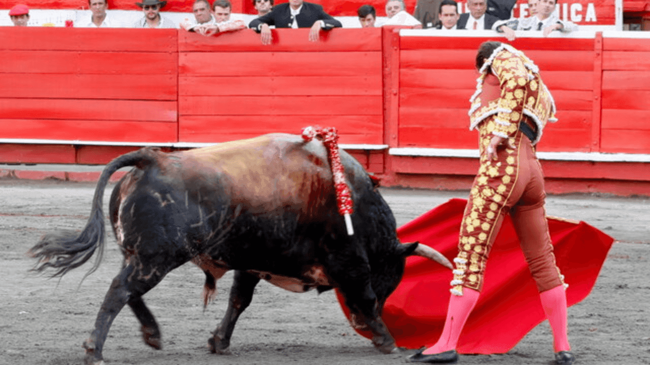 photologuephotos2024-03tauromaquiapng