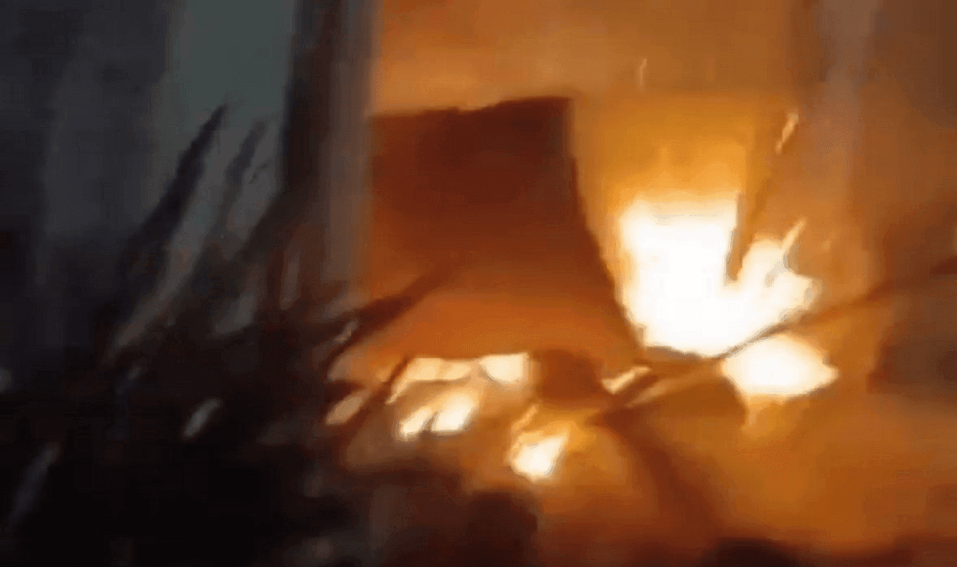 photologuephotos2025-03incendio_albergue_gatos_cartagenapng