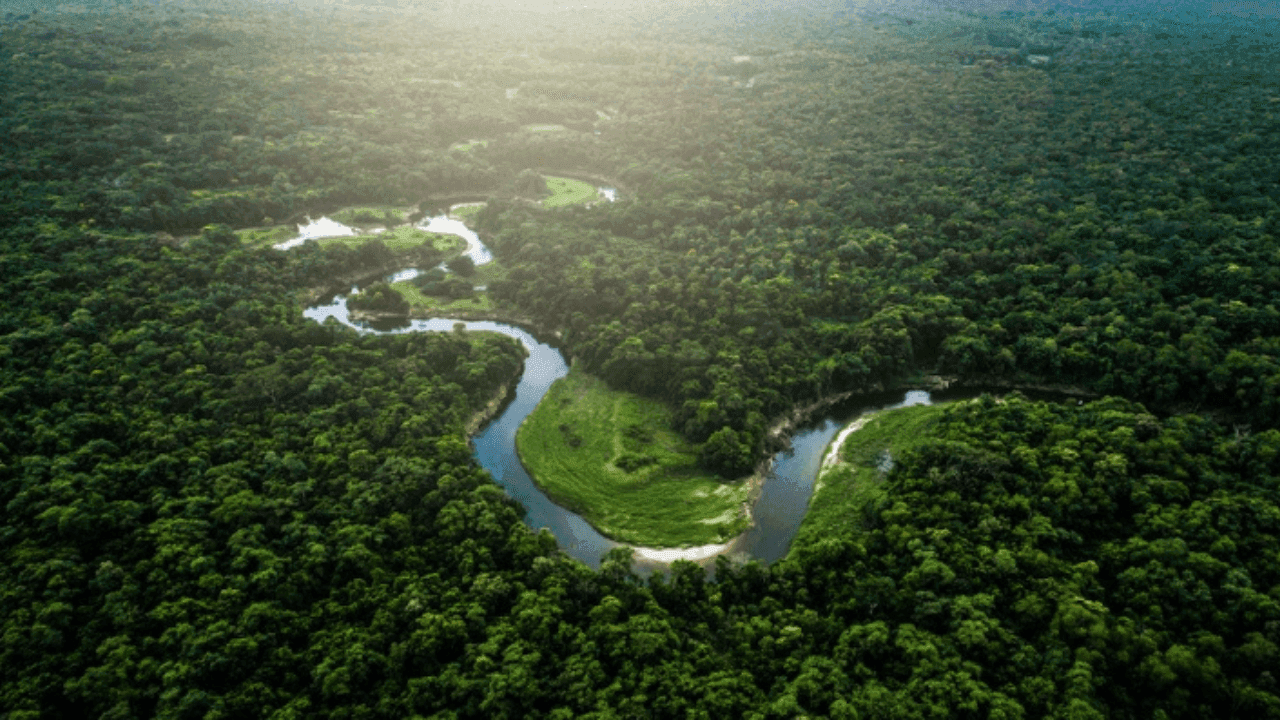 photologuephotos2025-03tamano_de_fotos_52png