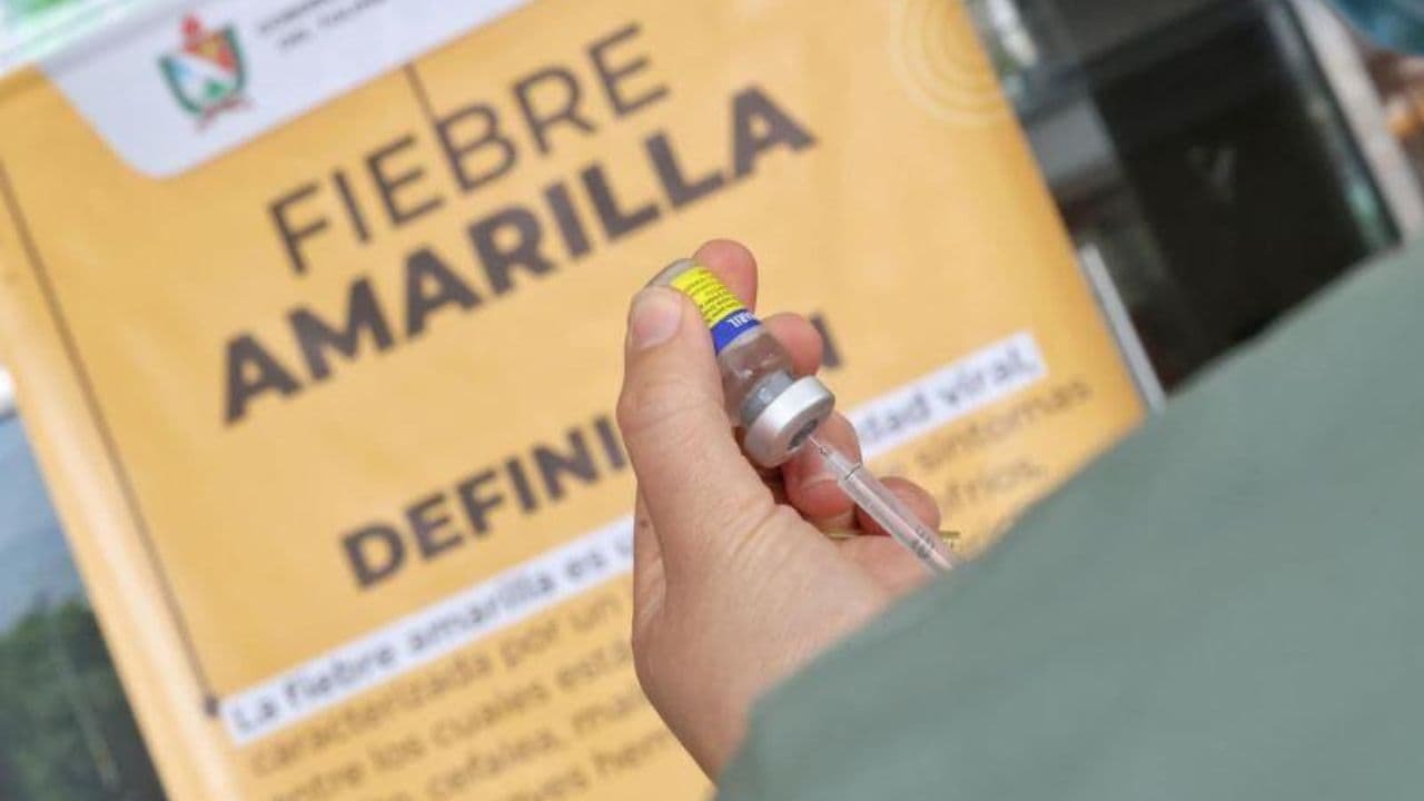 photologuephotos2025-04el_ministerio_de_salud_hizo_un_llamado_a_vacunarse_contra_la_fiebre_amarilla_ante_el_aumento_de_casos_en_el_paisjpg
