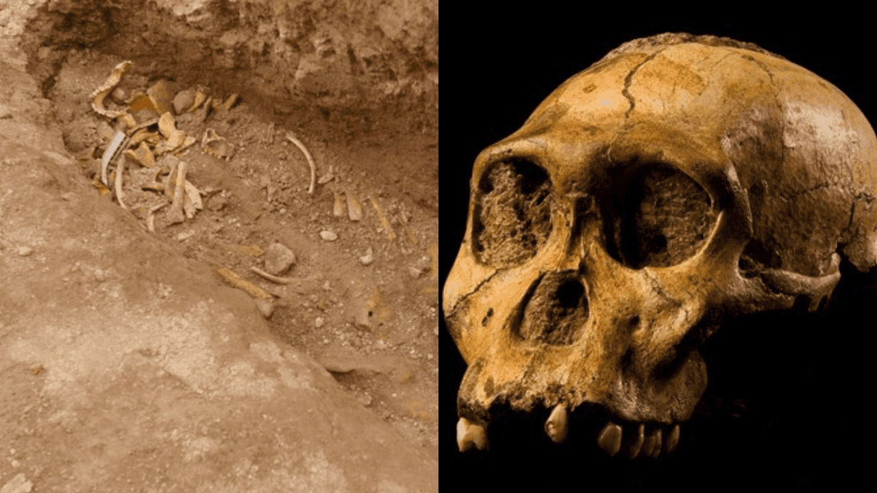 photologuephotos2025-07diseno_sin_titulo_29png