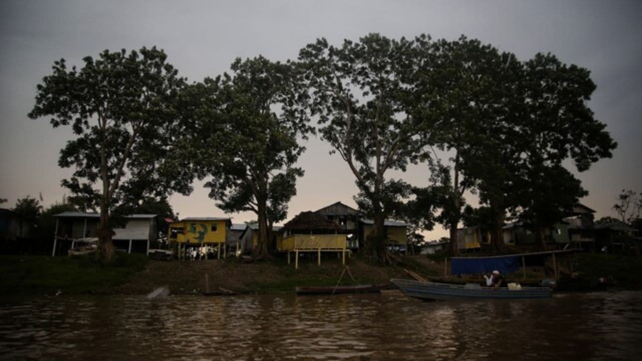 amazonas_isla_de_micos_0.jpg