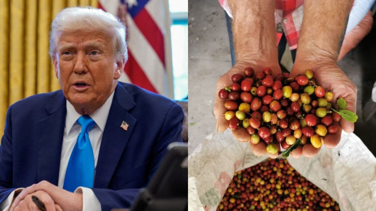 Trump ajusta aranceles