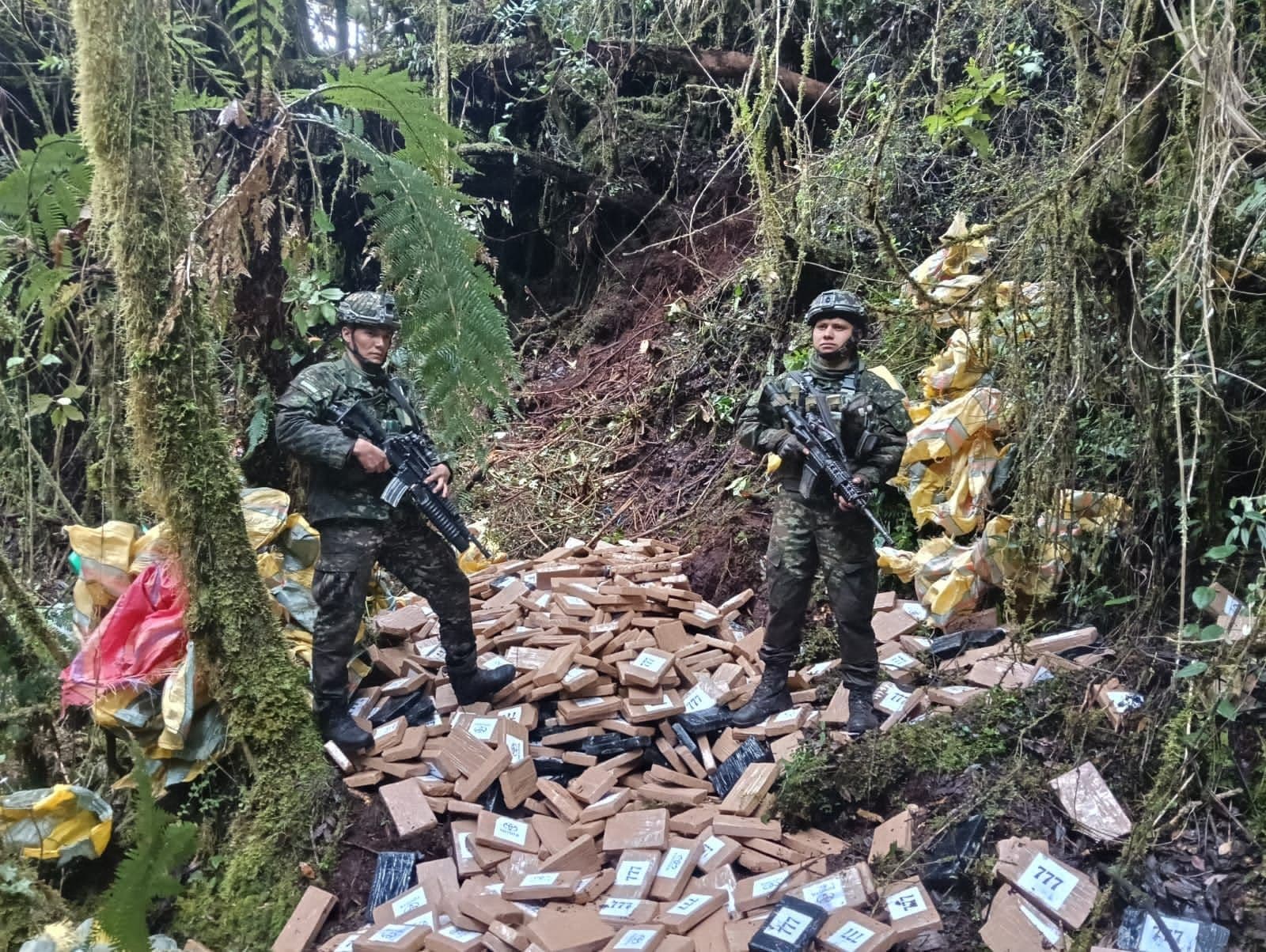 coca disidencias