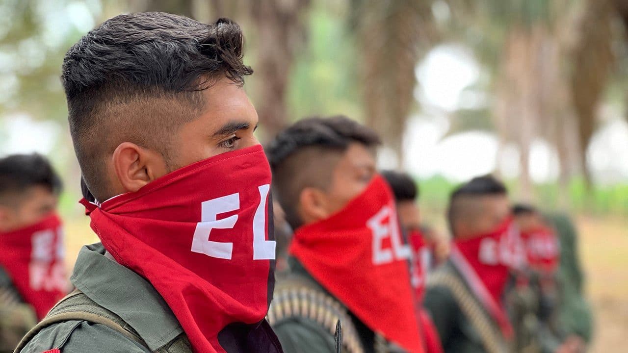 vichada ELN