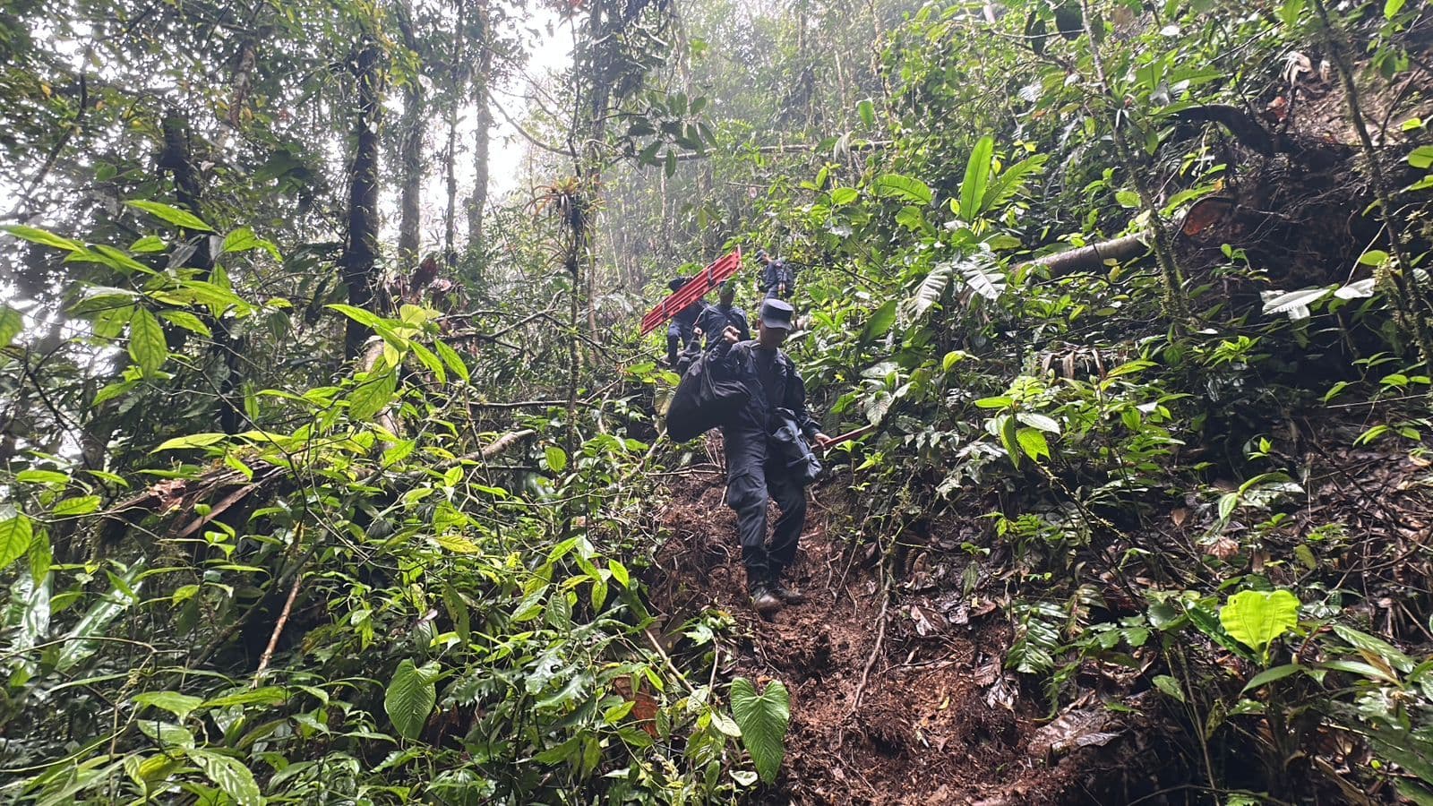 Desminadores Risaralda