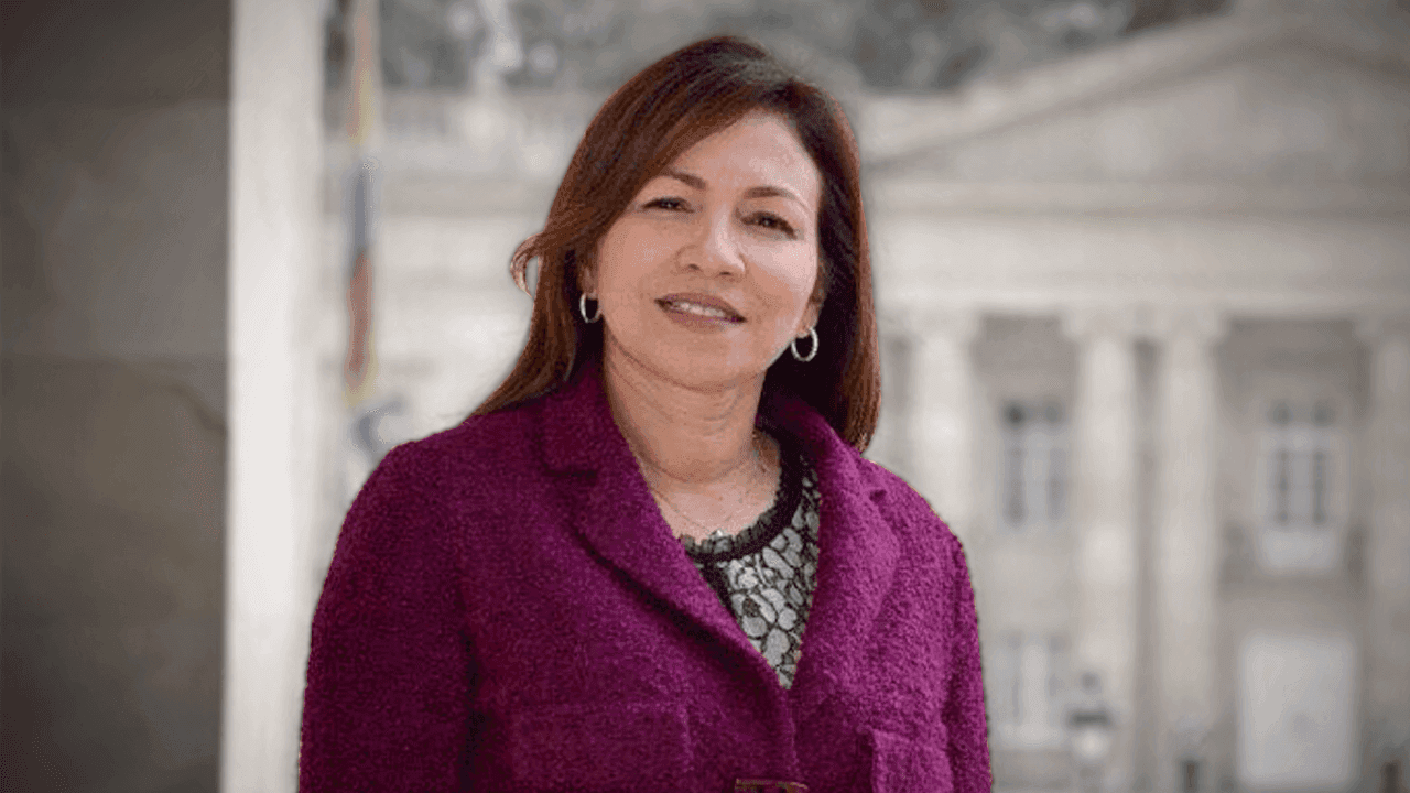 Sandra Elena Villadiego, excongresista.