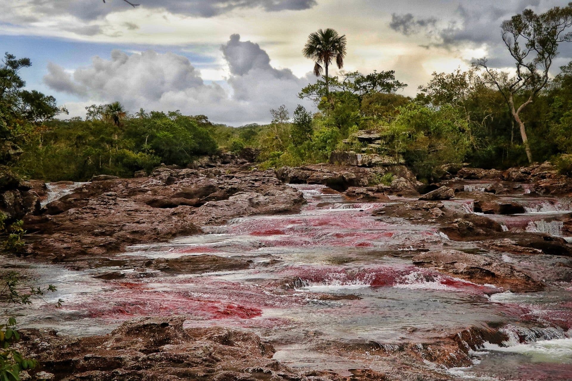 Gobernación Meta Caño Cristales