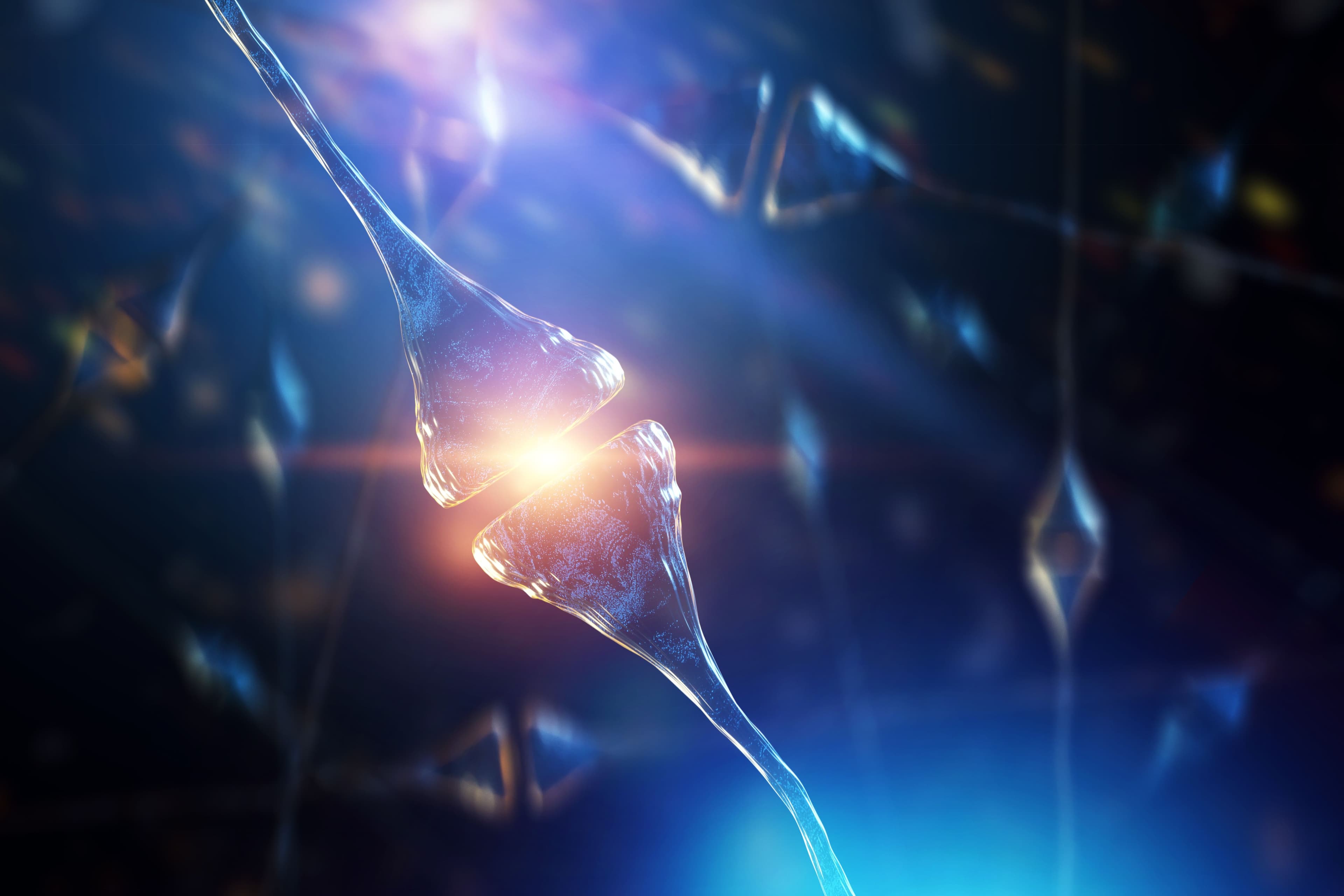 photologuephotos2023-03sinapsis-neuronas-cerebro-humanojpg