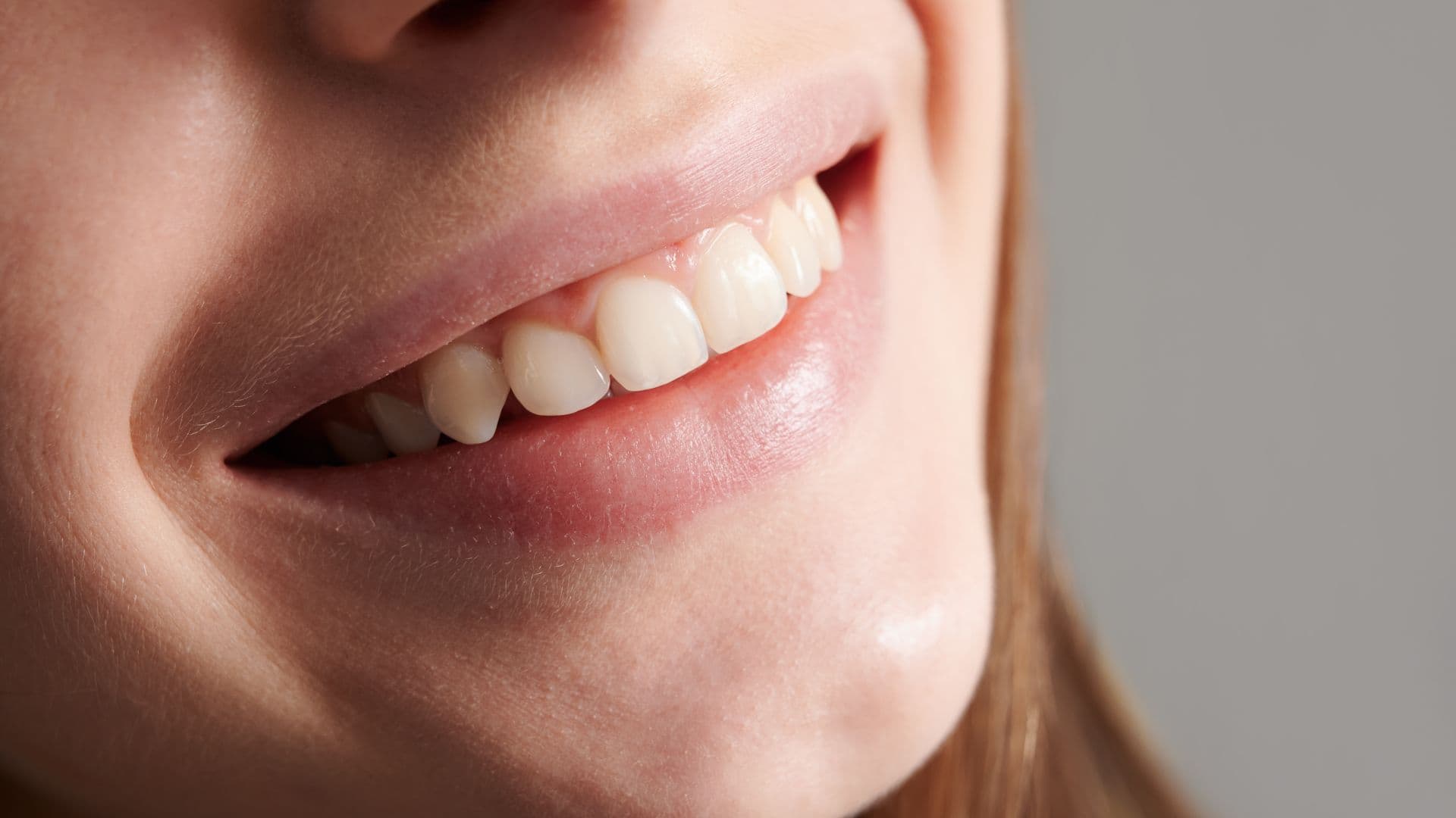 photologuephotos2023-05dientes_caninos_humanosjpg photologuephotos2023-05dientes_caninos_humanosjpg