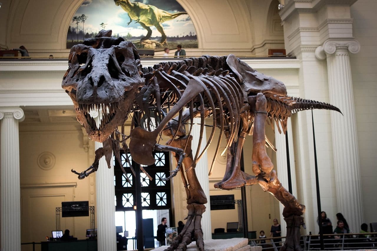 photologuephotos2023-04dinosaur-g89a9620a3_1280jpg