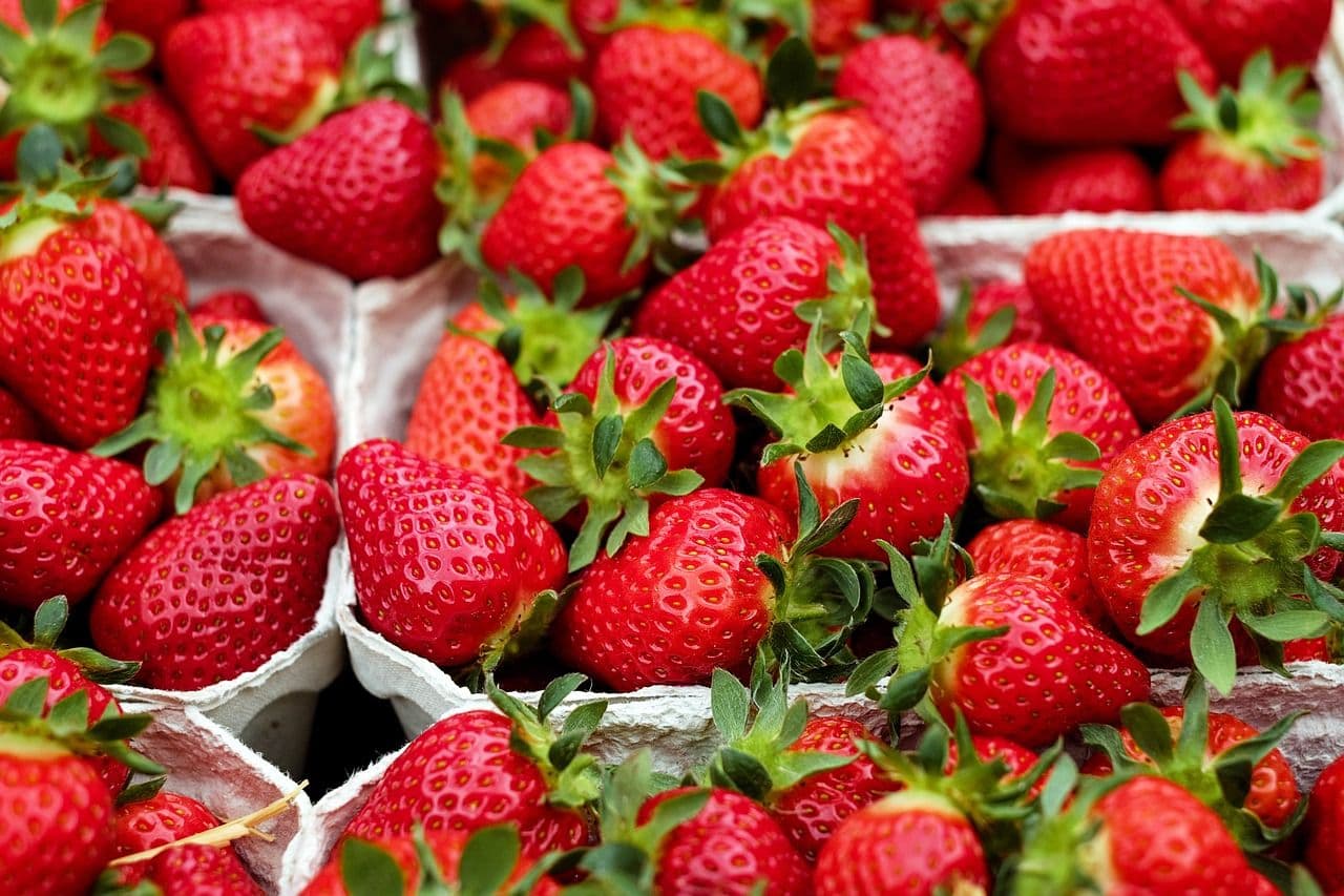 photologuephotos2023-04strawberries-ga99305404_1280jpg photologuephotos2023-04strawberries-ga99305404_1280jpg