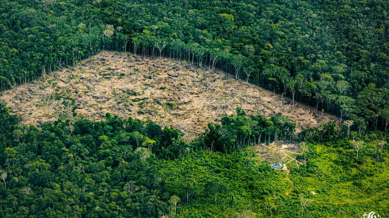 Agenda estratégica para la Amazonía colombiana