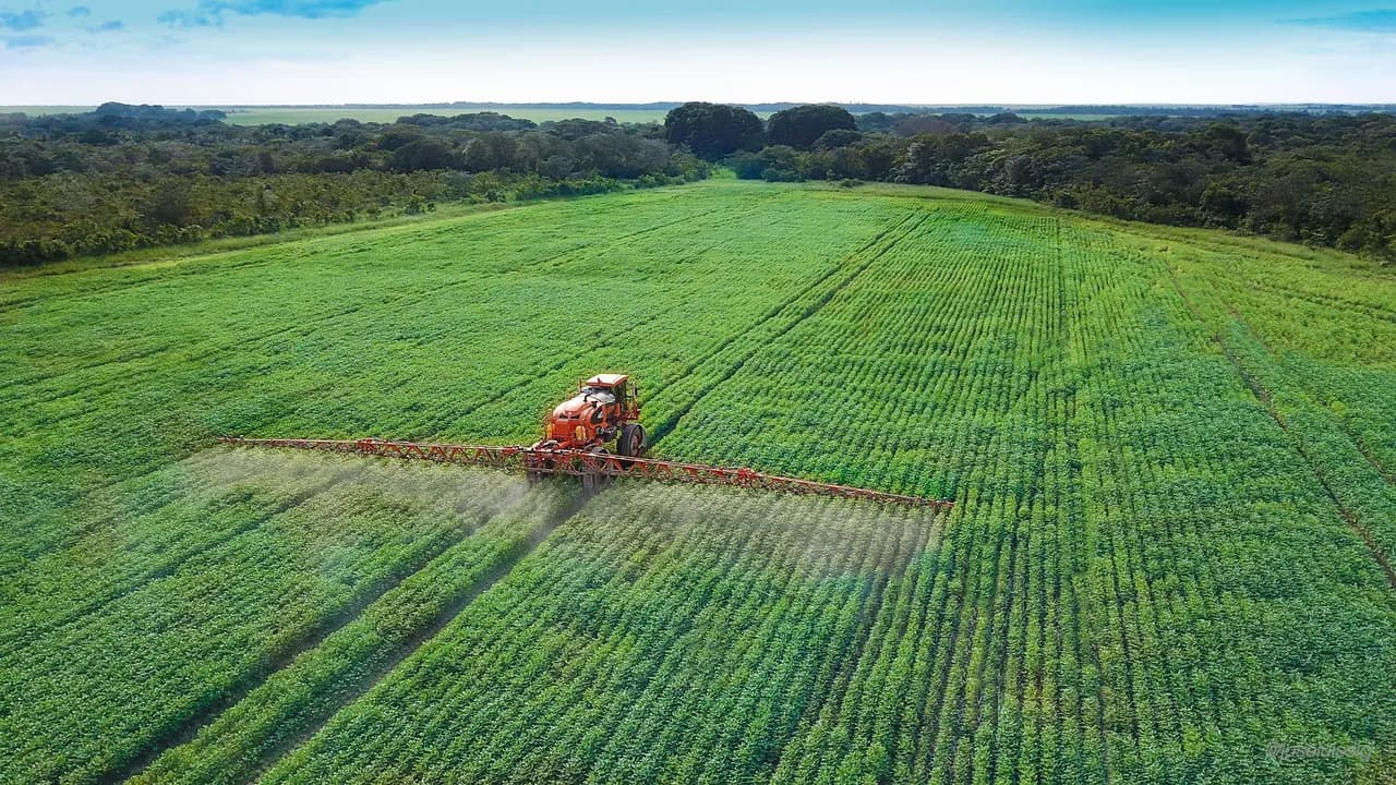 Del campo a la mesa: la cadena que sostiene la seguridad alimentaria en Colombia