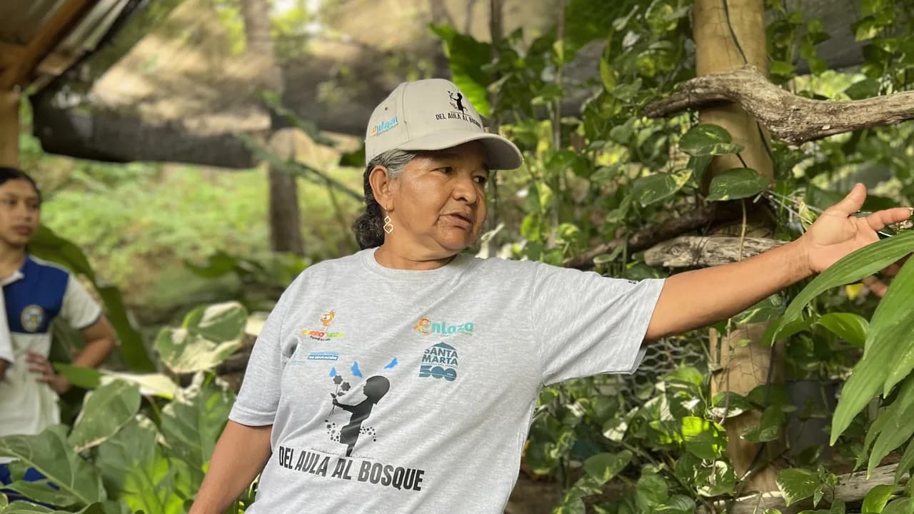 Edilma Carrasquilla, Fundación Cerro Seco
