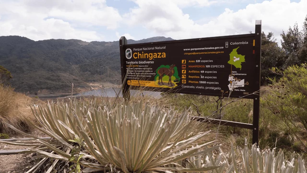 Chingaza Fest 2026: el primer festival que invita a recorrer y proteger el páramo más emblemático de Colombia