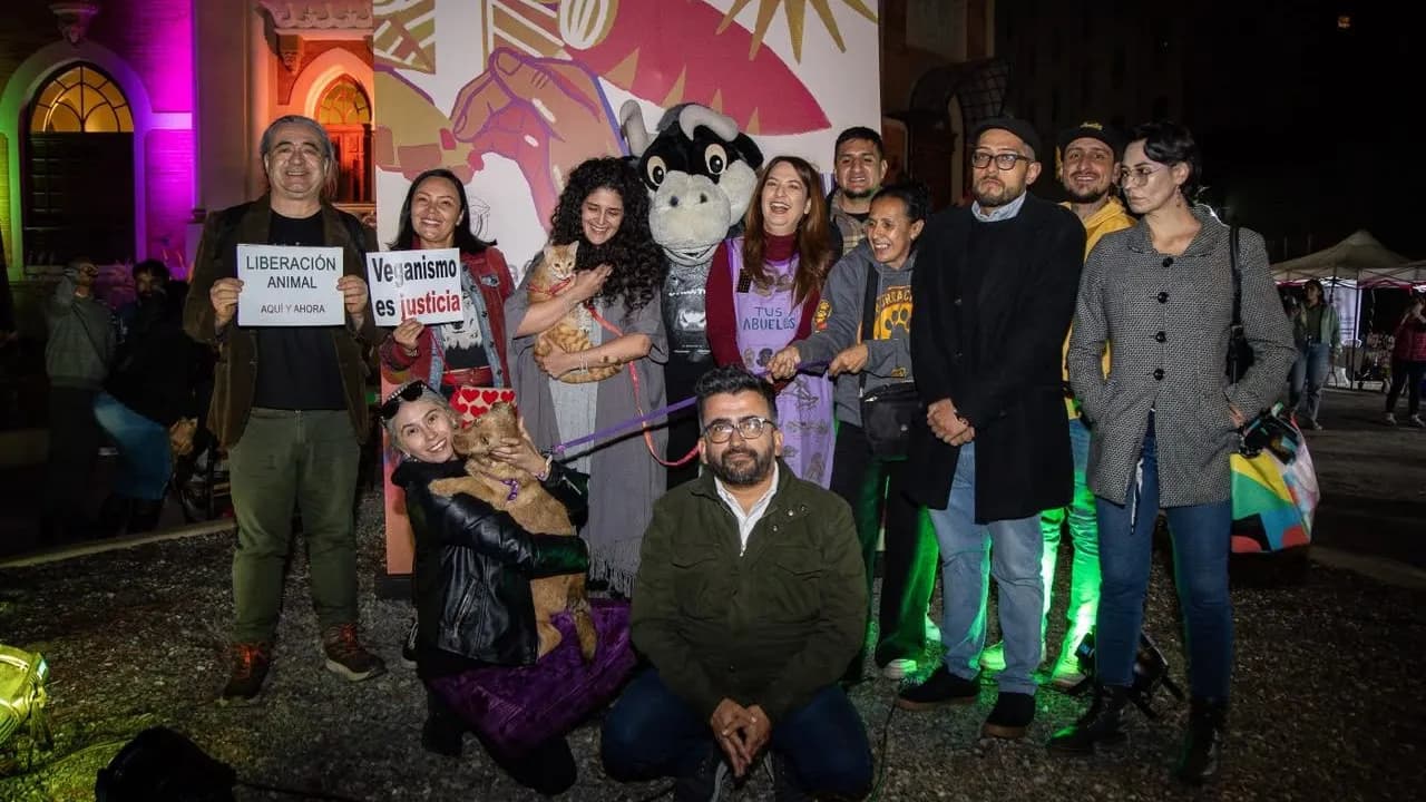 'Cultura para la Vida': MinCulturas prioriza la dignidad y el respeto por los animales 