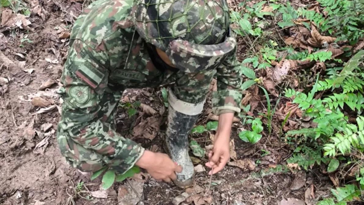 Denuncian instalación de cuatro artefactos explosivos del ELN en un camino veredal de Arauca