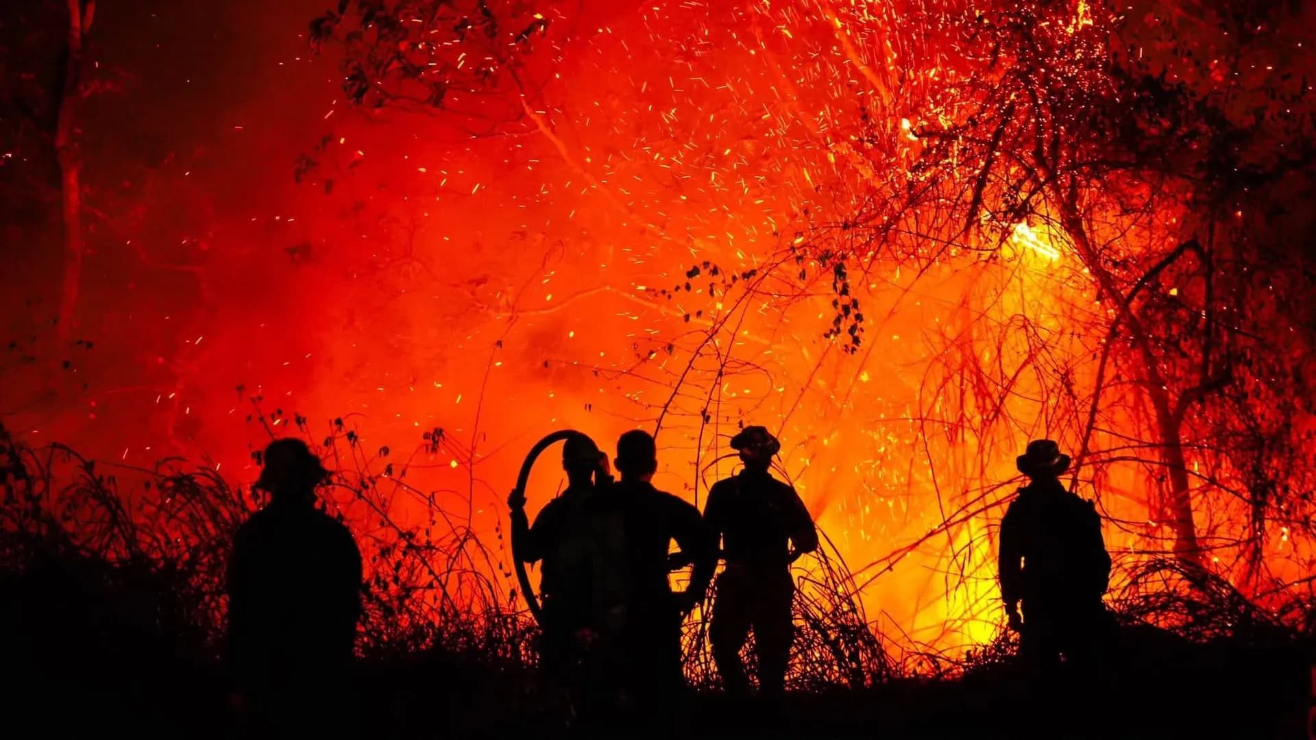 Alerta por incendios forestales en Colombia: 12 focos siguen activos en Tolima, Huila y Caldas