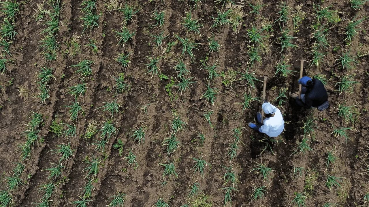 La reforma agraria no está incluida en el “milagro”