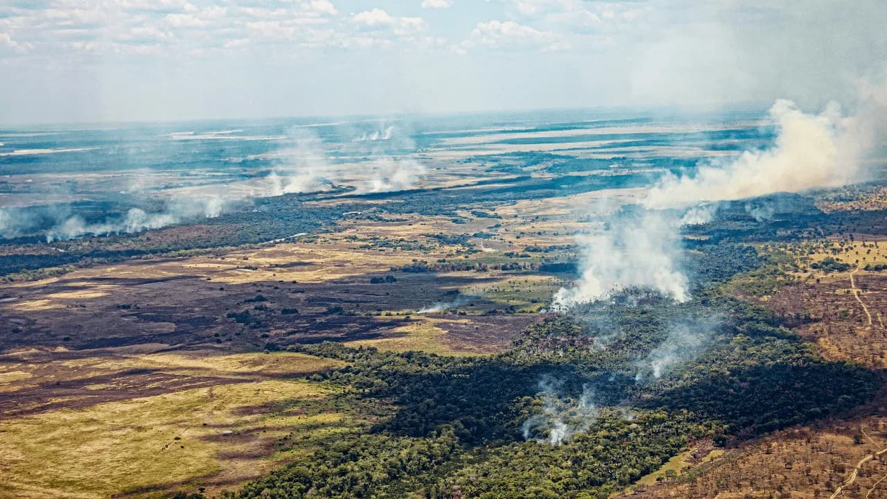 Incendios forestales en Colombia: ¿por qué esta temporada es atípica y qué hacer con los ecosistemas afectados?