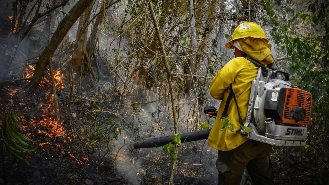 Tolima pide ayuda para familias afectadas por incendios forestales: así puede donar