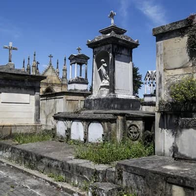 Confirmada sanción a Jardines de Luz y Paz, empresa que cerró cementerios distritales de Bogotá y dejó a familias sin despedir a sus seres queridos