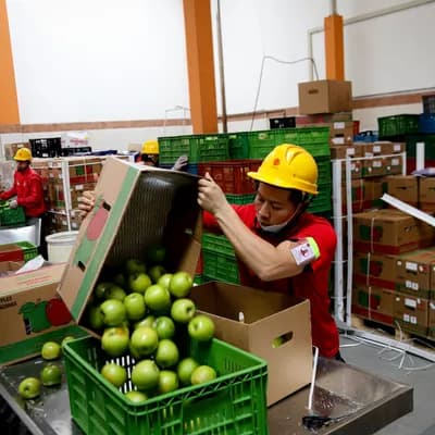 Banco de Alimentos de Bogotá denuncia una página falsa que pide donaciones a nombre de la entidad: "Está suplantando nuestra identidad"