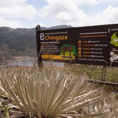 Chingaza Fest 2026: el primer festival que invita a recorrer y proteger el páramo más emblemático de Colombia