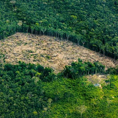 Agenda estratégica para la Amazonía colombiana